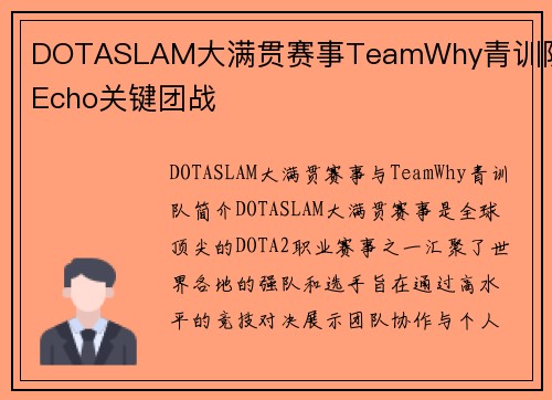 DOTASLAM大满贯赛事TeamWhy青训队员Echo关键团战